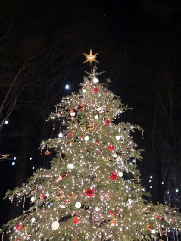 聖誕快樂 😘聖誕快樂 😘